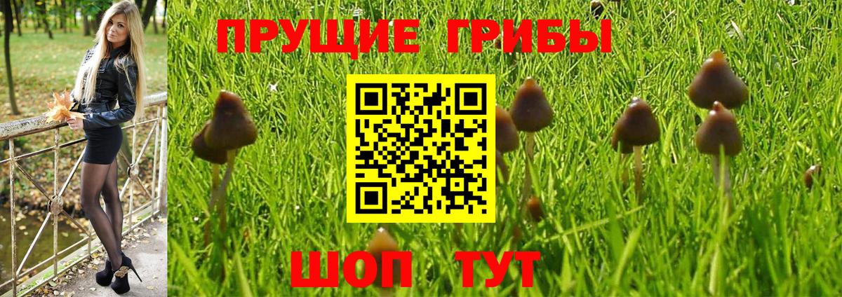 Галлюциногенные грибы GOLDEN TEACHER  Вход с VPN  Магнитогорск 